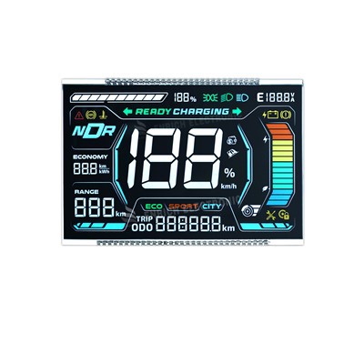 Módulo LCD de segmento VA personalizável